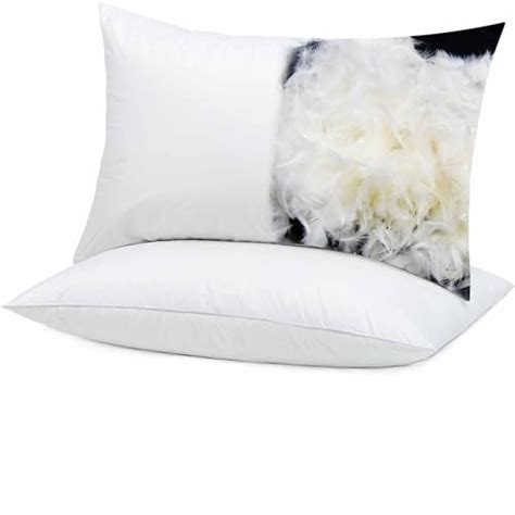 iFaon Hotel Goose Down Feather Pillows Standard Size Set of 2 Pack Odorless Hypoallergenic ...