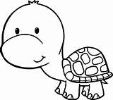 Baby Tortoise coloring page  Download Print Or Color Online For Free sketch template