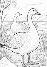Geese — Coloring Pages Free & Printable sketch template