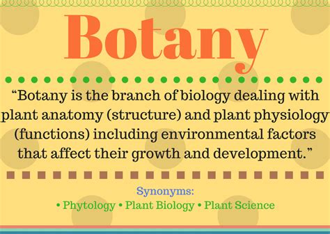 What is Botany? (Botany Definition and Its understanding)