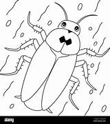 Cockroach Animal Coloring Page For Kids Stock Vector Image & Art  Alamy sketch template