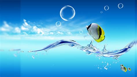 Fish 4K wallpapers for your desktop or mobile screen free and easy to download