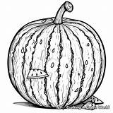 Watermelon Coloring Pages  Free & Printable sketch template