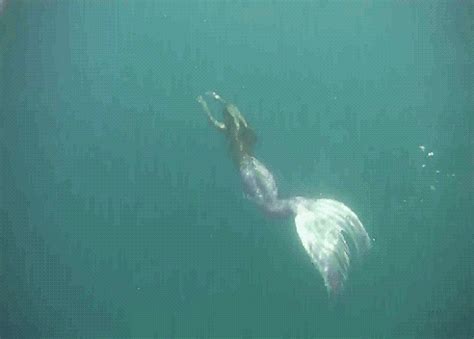 me again, click on the picture! | Mermaid gifs, Mermaid pictures ...