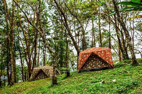 Camping Point At Thailand Free Stock Photo - Public Domain Pictures
