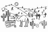 40  Camel Coloring Pages Free Printable PDF JPG PNG & Online sketch template