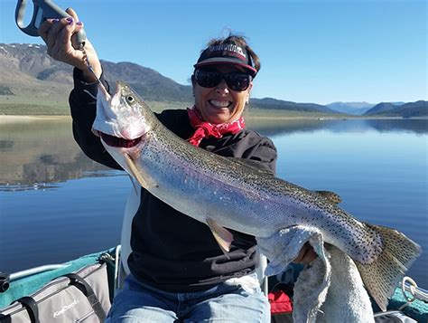 Bridgeport Reservoir Fish Report - Bridgeport, CA (Mono County)