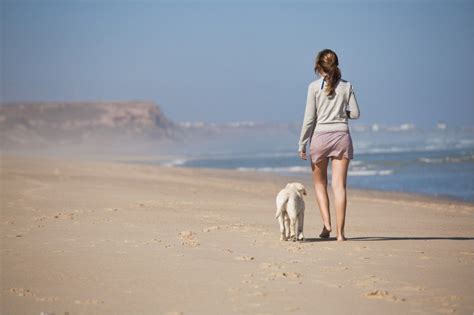 21 Dog-Friendly Beaches Across the U.S.