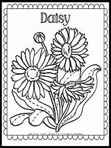 Daisy Coloring Page  Free Homeschool Deals sketch template