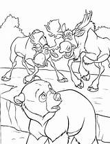 Coloring Of Brother Bear To Download For Free  Pages sketch template