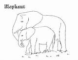 Free Printable Elephant Coloring Pages For Kids sketch template