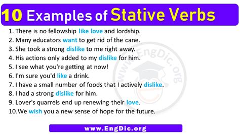 10 Examples of Stative Verbs in Sentences - EngDic