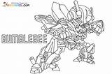 Bumblebee Coloring Pages sketch template