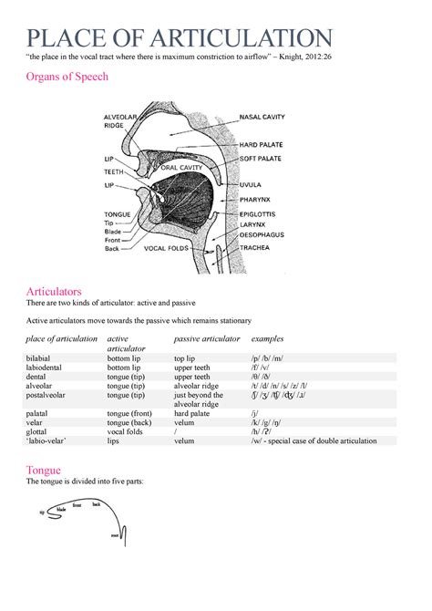 Manner Of Articulation Diagram