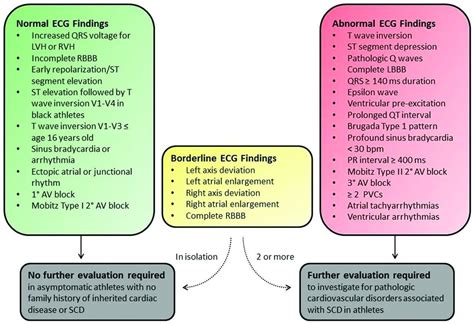 Pediatric athletes' ECG and diagnostic performance of contemporary ECG ...