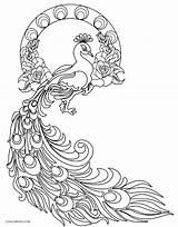15 Peacock Coloring Pages For Kids To Have Feathery Fun sketch template