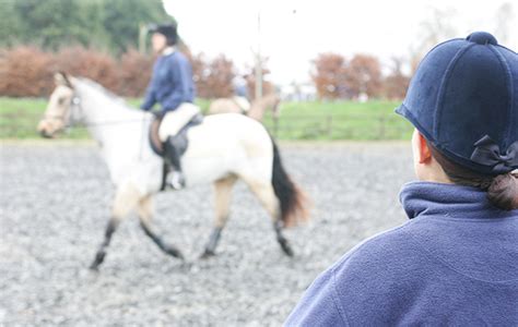 Horse riding lessons at UK riding schools | Horse & Hound