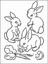 Printable bunnies coloring Page For Kids  Rabbit & Bunny Coloring Pages sketch template