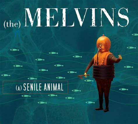 A Senile Animal | Melvins