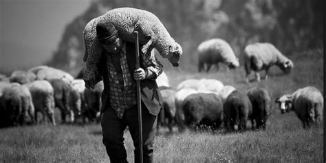 Sheep and their shepherds (4): so the church became the parachurch... - Warhorn Media