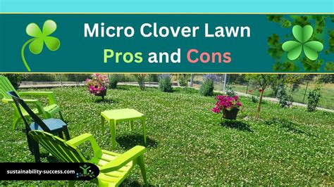 14 Micro Clover Lawn PROS and CONS