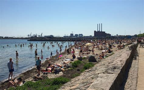 Svanemølle Strand / Copenhagen / Denmark // World Beach Guide