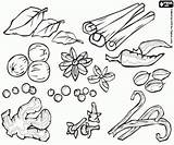Spices Coloring Pages Printable Games sketch template