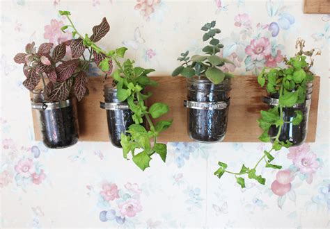 Indoor Wall Garden | A how to build an indoor hanging wall g… | Thomas Chappell | Flickr