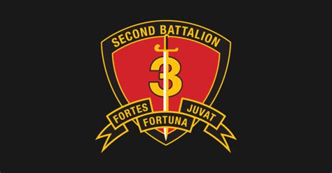 USMC 2nd Battalion 3rd Marines - 2nd Battalion 3rd Marine Regiment - T ...