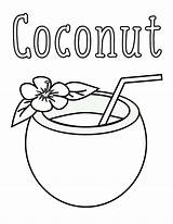 Coconut Coconuts Colouring Drawing Coloringcafe Sketch Coloring Page sketch template