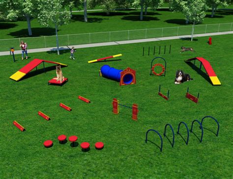 Dog Park Complete System - A-Frame, Ramps, Teeter Totter, Hoops, Jumps ...