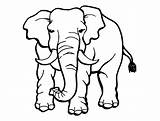 Elephant Coloring Pages Printable sketch template