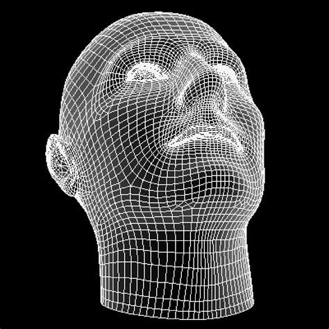 Man Head Wire Mesh Free Stock Photo - Public Domain Pictures