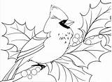 Cardinal coloring page  ColouringPages sketch template