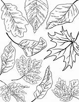 20 Printable Coloring Pages Colouring Pdf Digital Download  Etsy sketch template
