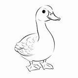 Goose Coloring Pages – Corner sketch template