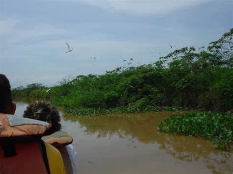 Catatumbo Lightning Experience, Western Venezuela – Angel-Eco Tours