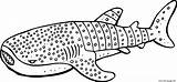 Cartoon Whale Shark Coloring Page Printable sketch template