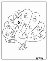 Peacock Coloring Pages Free PDF Printables  Simply Love sketch template