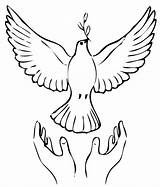 Dove Coloring Peace Doves Printable Pages Turtle Color Bird Clipart  sketch template