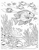 Enchanting Under The Sea Coloring Pages Kids Favorite sketch template