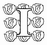 Letter I Iceberg Lettuce coloring Page sketch template