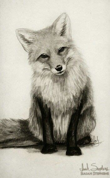 Pin by Caroline Lima on Fox | Pencil drawings of animals, Art prints ...