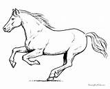 Horses Coloring Pages  Home sketch template