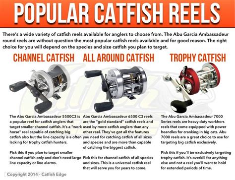 17 best Catfishing Gear images on Pinterest | Catfishing gear, Catfish tackle and Fishing tips