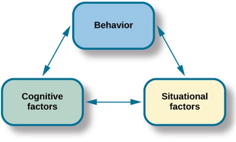 Unveiling The 3 Main Cognitive Theories: A Comprehensive Guide