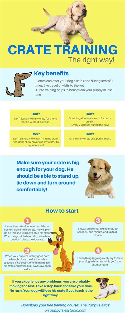 How To: Crate Train Your Puppy | Dog training, Puppy training, Dog ...