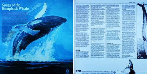 Why Send Whale Song Into Space? ‹ Literary Hub