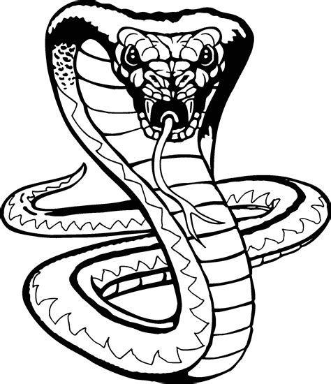 How To Draw A Viper Snake - ClipArt Best