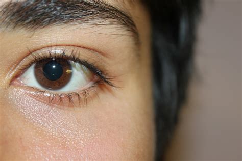 File:A sample of brown eyes.jpg - Wikimedia Commons